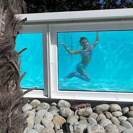 Scandinavia Resort Zator Bagian luar foto
